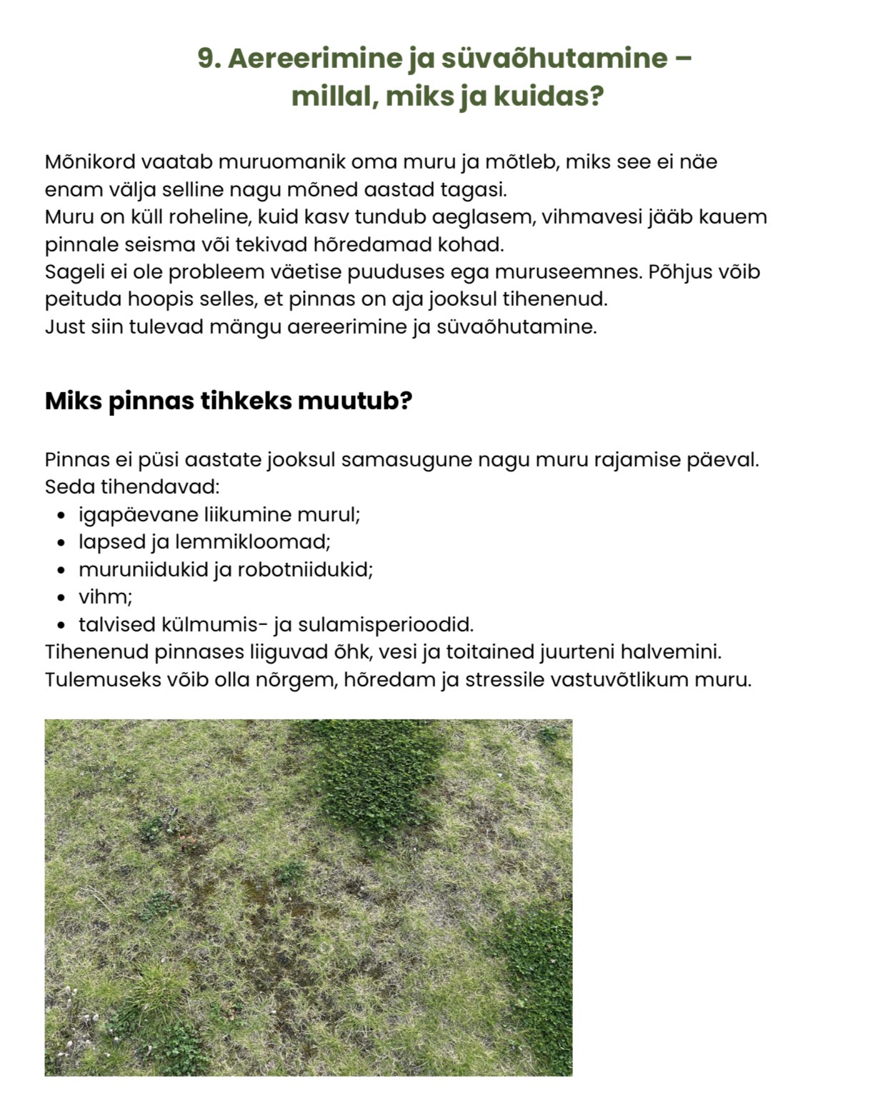Ilusa muru saladus e-raamatu näidislehekülg aereerimise ja süvaõhutamise kohta